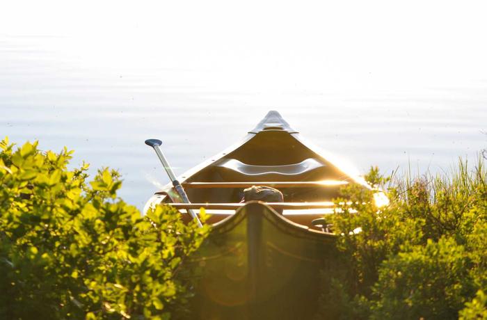 Sustainable Development: The New Standard for Prime Real Estate
