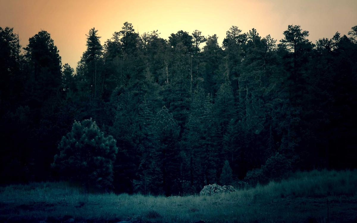 Why Dubai Real Estate Continues to Outperform Global Markets